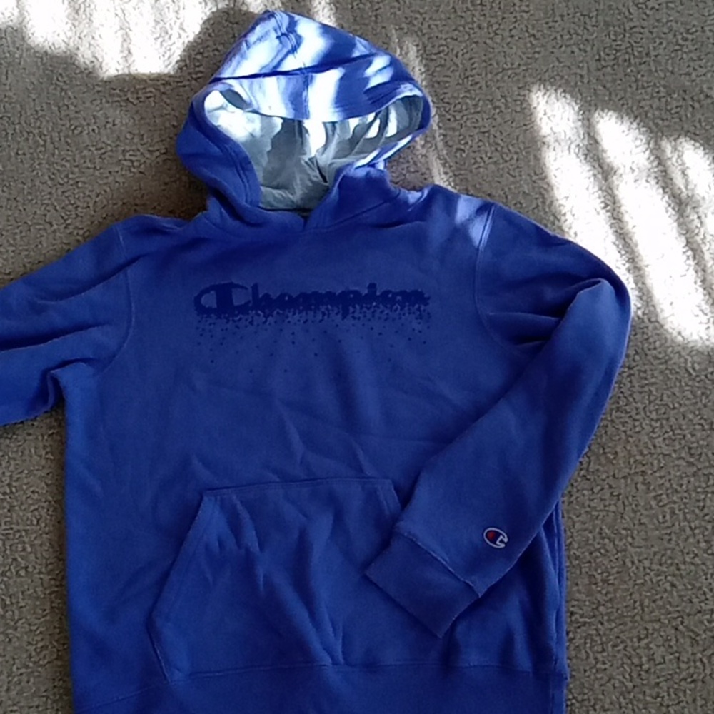 Champion Purple Hoodie